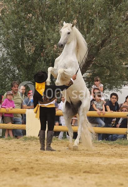 Location salle Beaucaire (Gard) - Domaine de l'Estancia #19