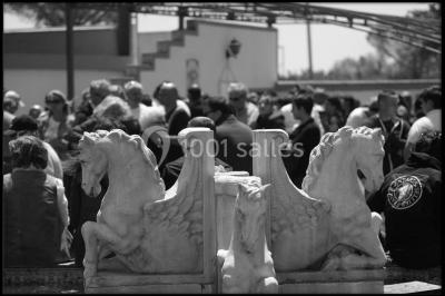 Location salle Beaucaire (Gard) - Domaine de l'Estancia #19