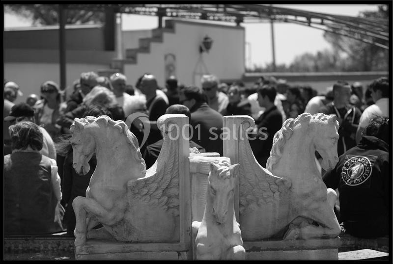 Location salle Beaucaire (Gard) - Domaine de l'Estancia #4