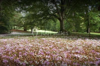 Location salle Esvres (Indre-et-Loire) - Château de Vaugrignon #23