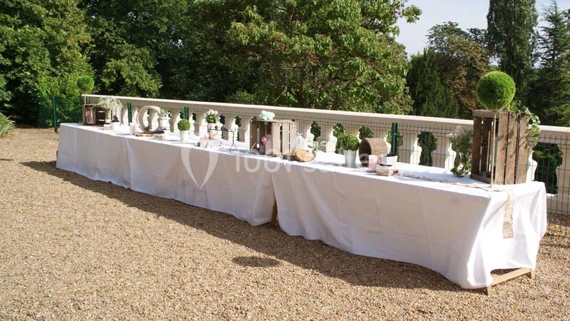 Location salle Esvres (Indre-et-Loire) - Château de Vaugrignon #9