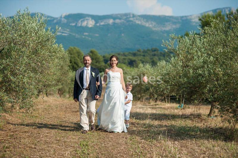 Location salle Trets (Bouches-du-Rhône) - Domaine De La Pomme #14