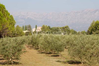 Miniature Location salle Trets (Bouches-du-Rhône) - Domaine De La Pomme #18 Location salle Trets (Bouches-du-Rhône) - Domaine De La Pomme #22