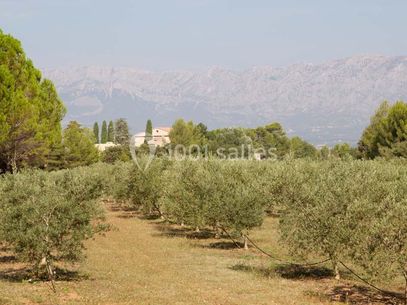 Location salle Trets (Bouches-du-Rhône) - Domaine De La Pomme #18