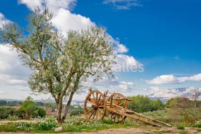 Miniature Location salle Trets (Bouches-du-Rhône) - Domaine De La Pomme #20 Location salle Trets (Bouches-du-Rhône) - Domaine De La Pomme #22