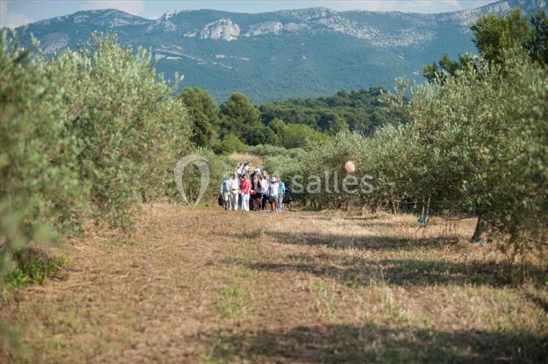 Location salle Trets (Bouches-du-Rhône) - Domaine De La Pomme #21