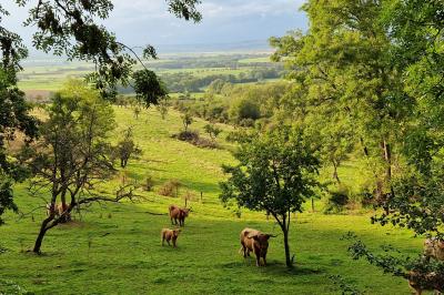 Miniature Location salle Saxon-Sion (Meurthe-et-Moselle) - La Grange Inspirée #40 Location salle Saxon-Sion (Meurthe-et-Moselle) - La Grange Inspirée #41