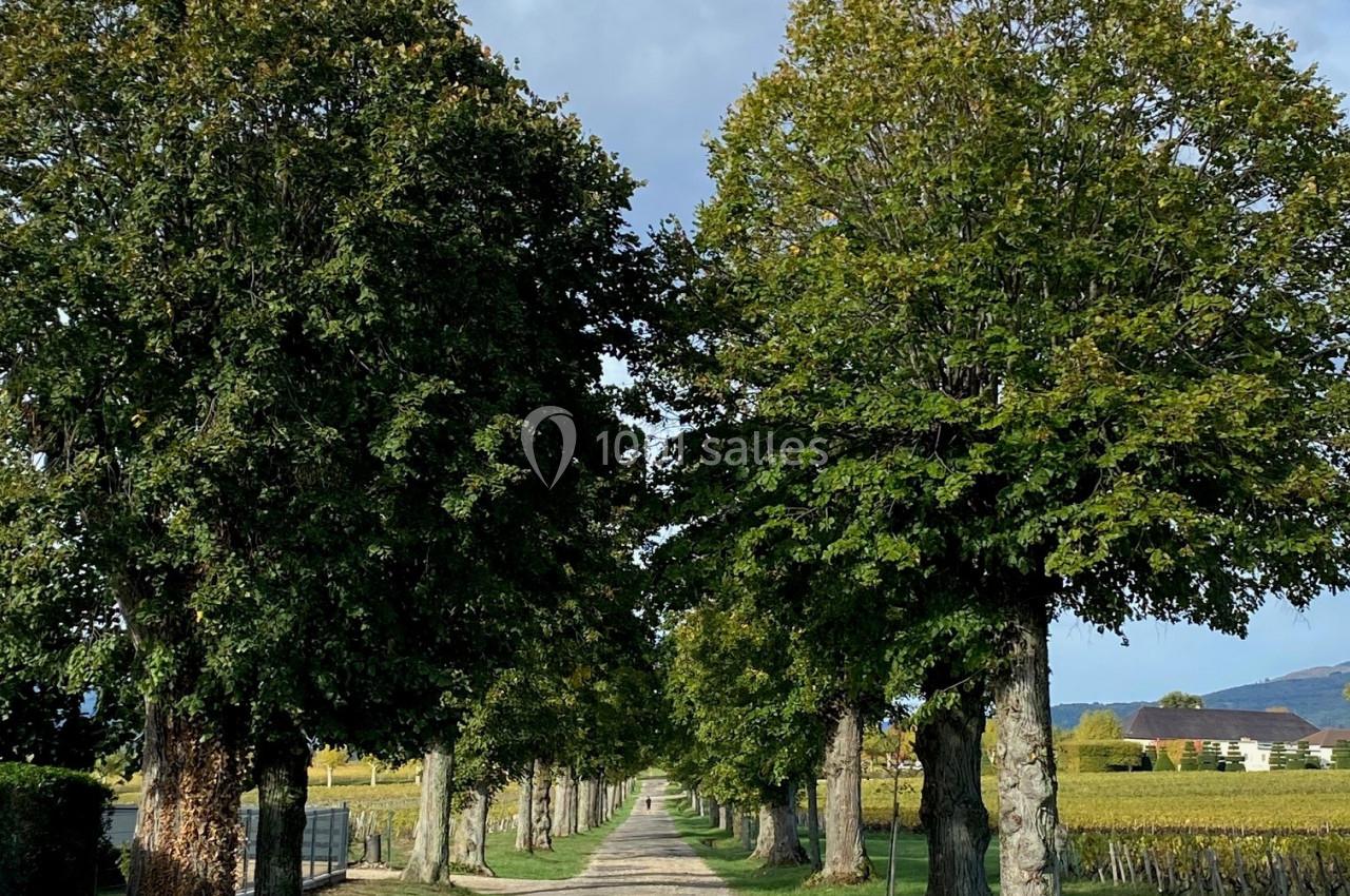 Allée bordée d'arbres menant à l'horizon, entourée de champs et sous un ciel partiellement nuageux.