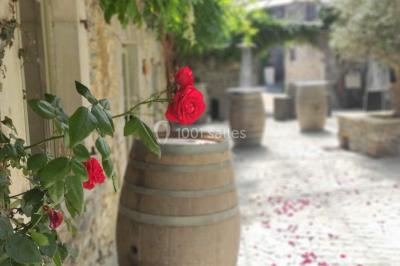 Miniature Location salle Gan (Pyrénées-Atlantiques) - Domaine de Lucain #15 Location salle Gan (Pyrénées-Atlantiques) - Domaine de Lucain #15