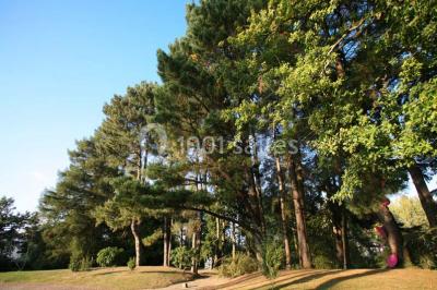 Ar Milin - photo 2