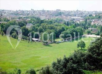 Villa Emma - L'orangerie - galerie - photo 20