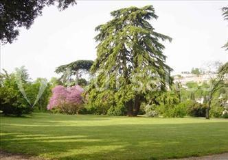 Villa Emma - L'orangerie - galerie - photo 21
