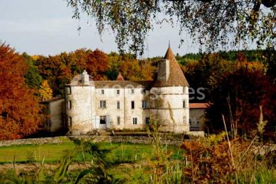 Miniature Location salle Saint-Dier-d'Auvergne (Puy-de-Dôme) - Château Des Martinanches #14 Location salle Saint-Dier-d'Auvergne (Puy-de-Dôme) - Château Des Martinanches #24