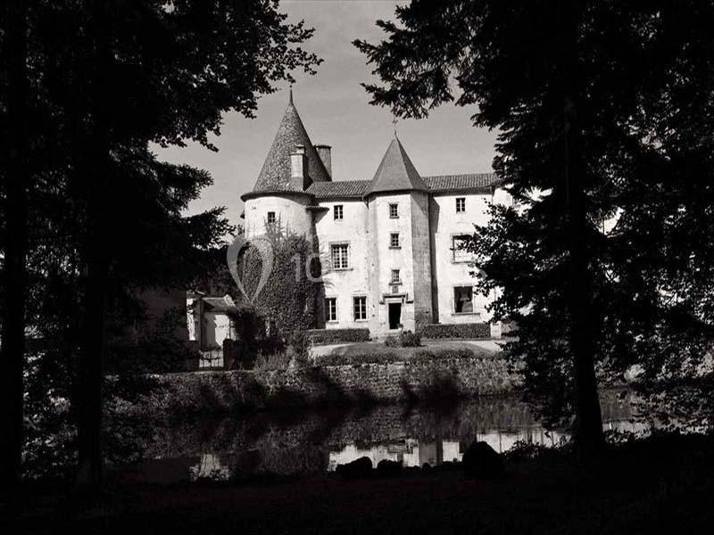 Location salle Saint-Dier-d'Auvergne (Puy-de-Dôme) - Château Des Martinanches #15 Location salle Saint-Dier-d'Auvergne (Puy-de-Dôme) - Château Des Martinanches #15