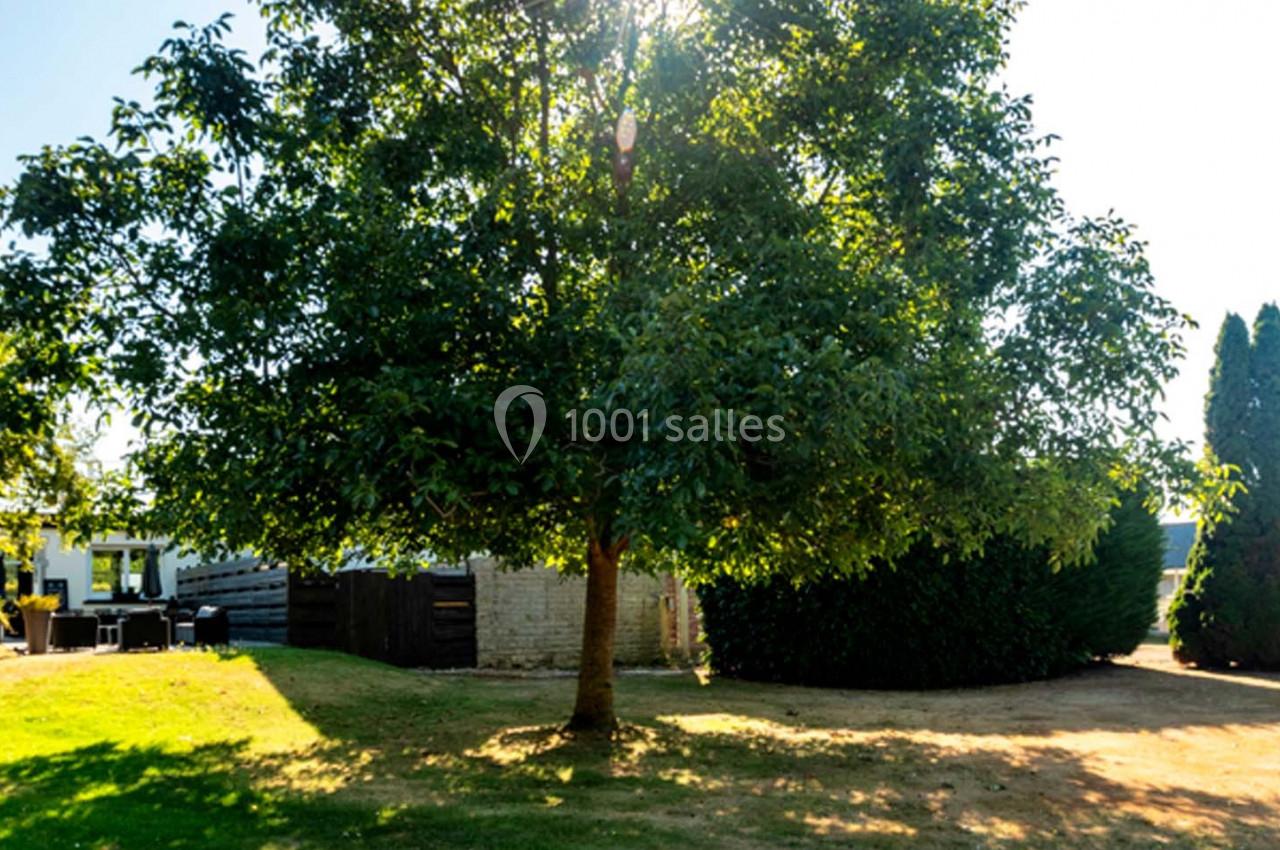 Location salle Saint-Aignan-de-Cramesnil (Calvados) - La Jalousie #12 Un grand arbre feuillu dans un jardin ensoleillé, entouré de haies et de bâtiments en arrière-plan.