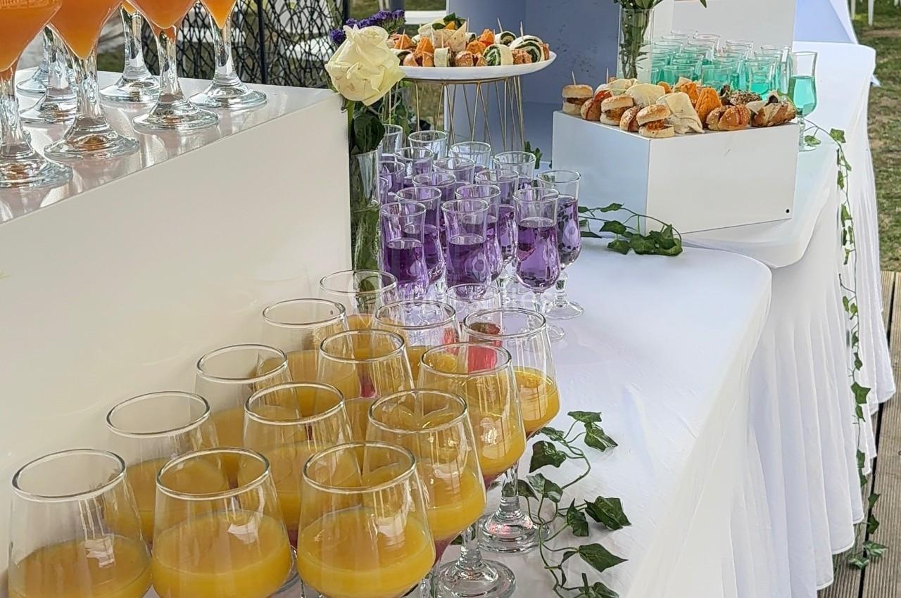 Buffet en extérieur avec cocktails colorés, verrines et amuse-bouches sur une table décorée de feuillage.
