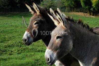 Miniature Location salle Vignieu (Isère) - Domaine de Suzel #15 Chambre avec lit rond, couverture rouge, pétales de rose, lampe de chevet et plafond en bois avec suspension plumeuse.