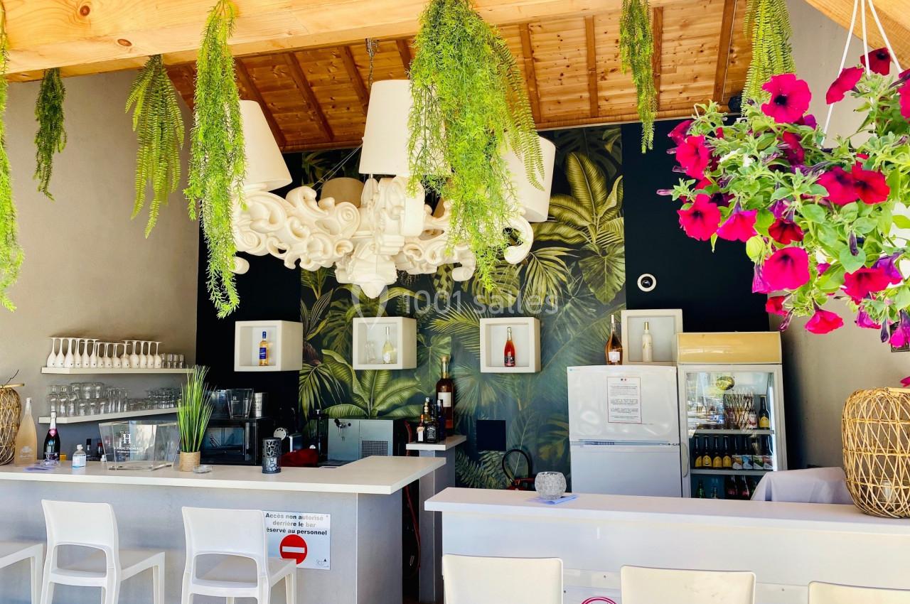 Location salle Vignieu (Isère) - Domaine de Suzel #26 Intérieur d'un bar lumineux avec comptoir blanc, plantes suspendues, décor tropical et étagères avec bouteilles.