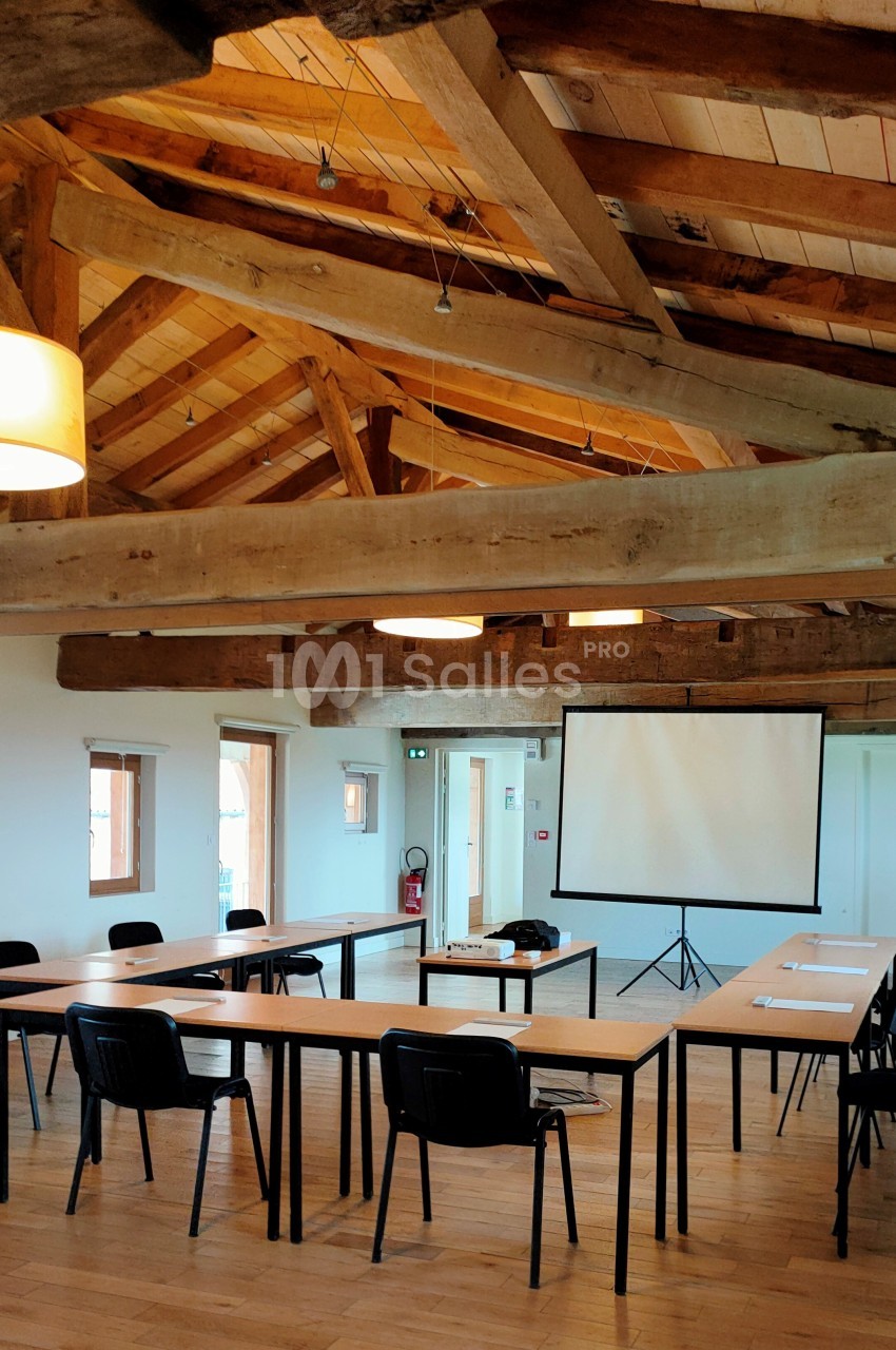 Château de Saint Marcel de Felines - galerie - photo 13