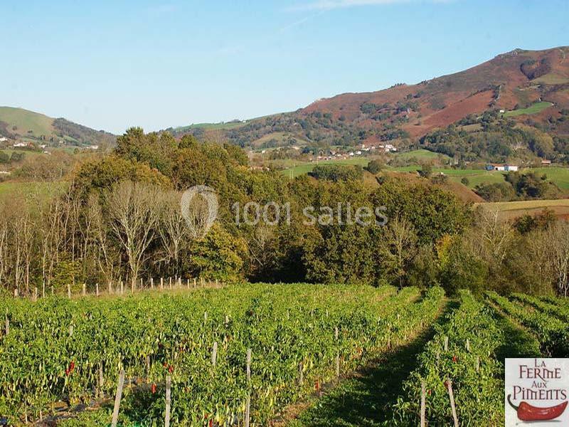 La Ferme Aux Piments - galerie - photo 16