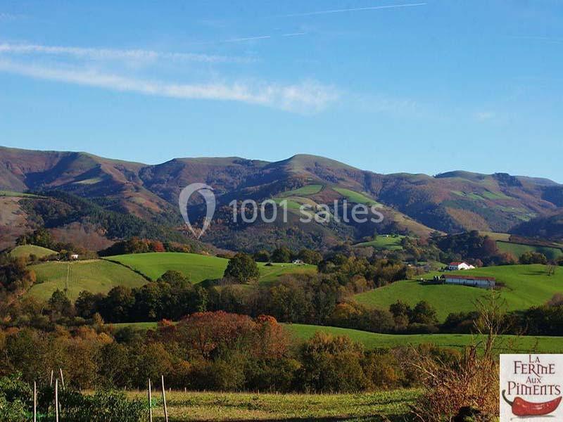 La Ferme Aux Piments - galerie - photo 19