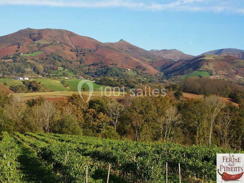 La Ferme Aux Piments - galerie - photo 17