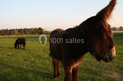 Miniature Location salle Missillac (Loire-Atlantique) - La Ferme Du Forsdoff #16 Location salle Missillac (Loire-Atlantique) - La Ferme Du Forsdoff #24