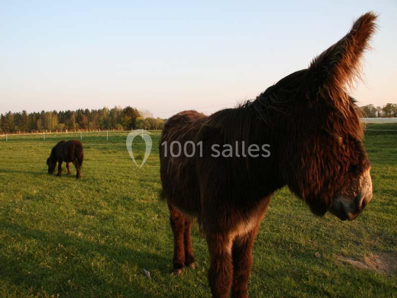 Location salle Missillac (Loire-Atlantique) - La Ferme Du Forsdoff #16