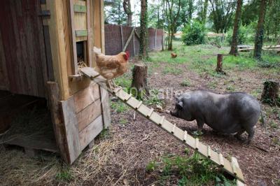 Miniature Location salle Missillac (Loire-Atlantique) - La Ferme Du Forsdoff #18 Location salle Missillac (Loire-Atlantique) - La Ferme Du Forsdoff #24
