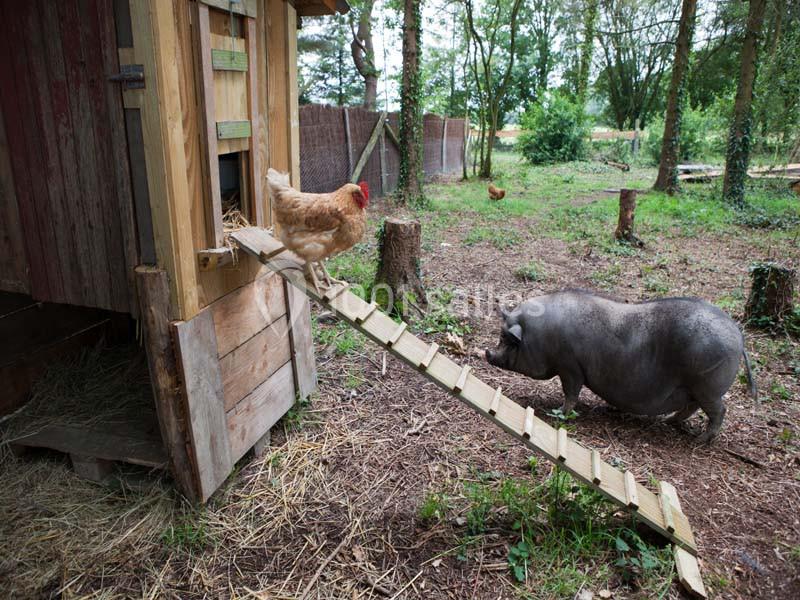 Location salle Missillac (Loire-Atlantique) - La Ferme Du Forsdoff #18