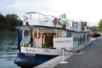 Harmony - photo 3