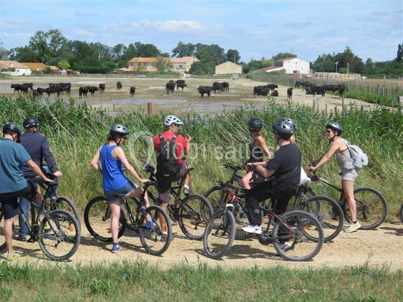 Mas De Calabrun - galerie - photo 17