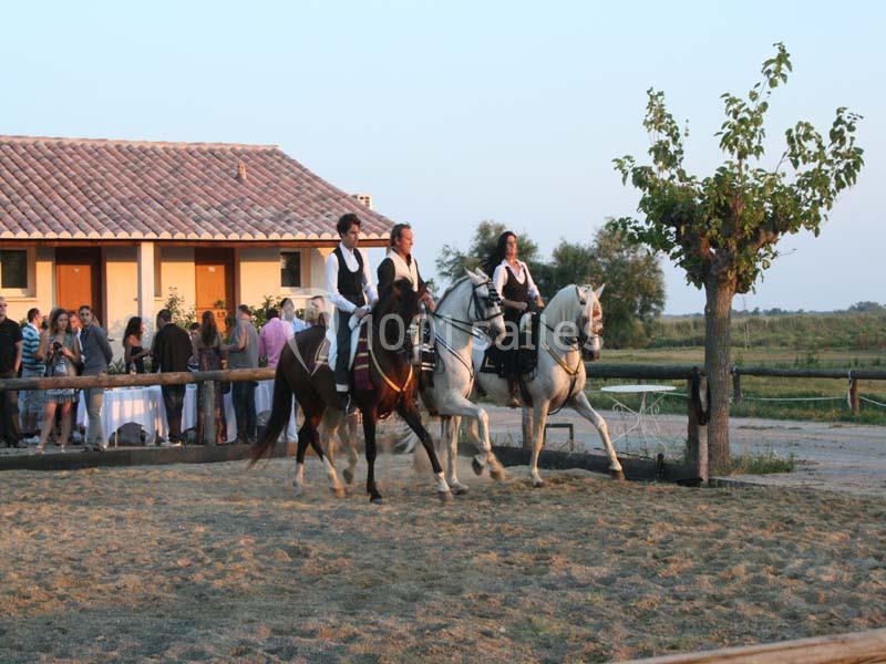 Mas De Calabrun - galerie - photo 8