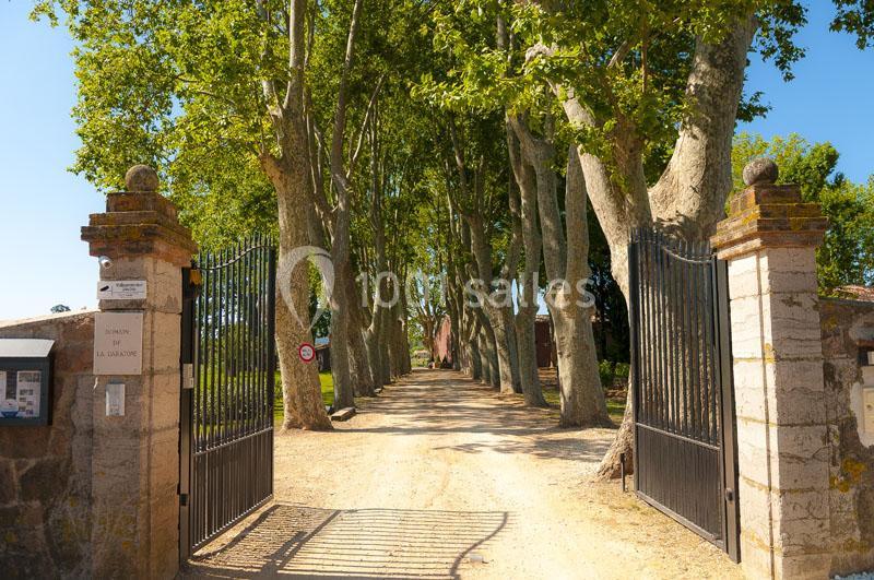 Domaine de la Baratonne - galerie - photo 11