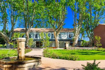 Domaine de la Baratonne - photo 2