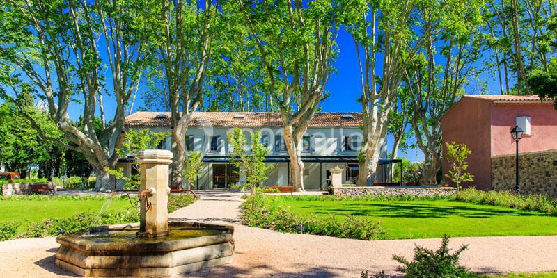 Domaine de la Baratonne - galerie - photo 2