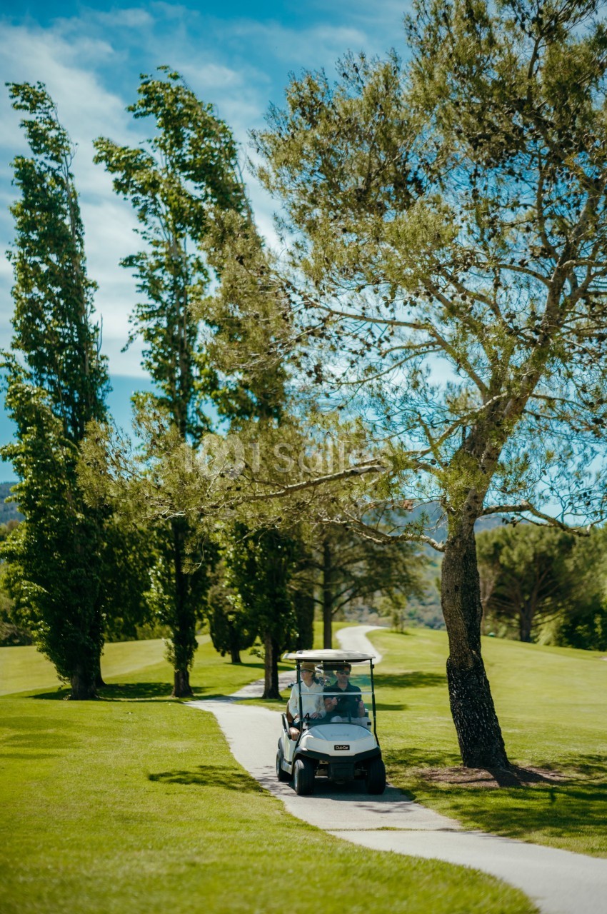 Un golf cart roulant sur un chemin bordé d'arbres dans un paysage verdoyant par une journée ensoleillée.