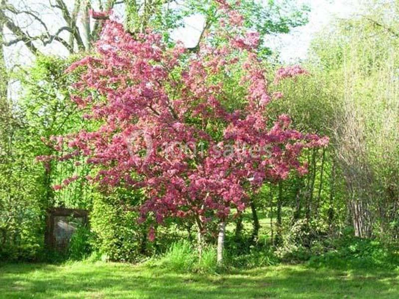 Le Domaine De La Fée Verte - galerie - photo 10