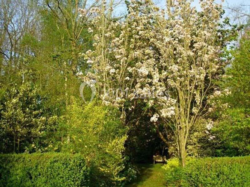 Le Domaine De La Fée Verte - galerie - photo 12