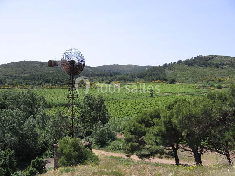 Location salle Narbonne (Aude) - Château de Jonquières #7