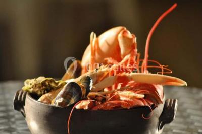 Tranche de foie gras en millefeuille avec décoration de fruits, sauce rouge et bâtonnets en chocolat.