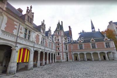 Château Royal de Blois - photo 2