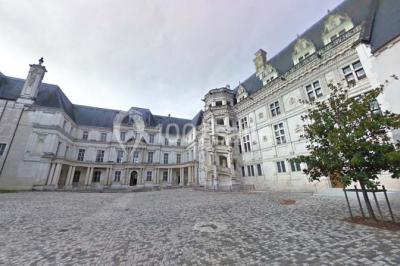 Château Royal de Blois - photo 3