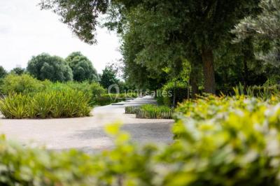 Miniature Location salle Nanterre (Hauts-de-Seine) - Le Pavillon des Berges #3 Location salle Nanterre (Hauts-de-Seine) - Le Pavillon des Berges #30