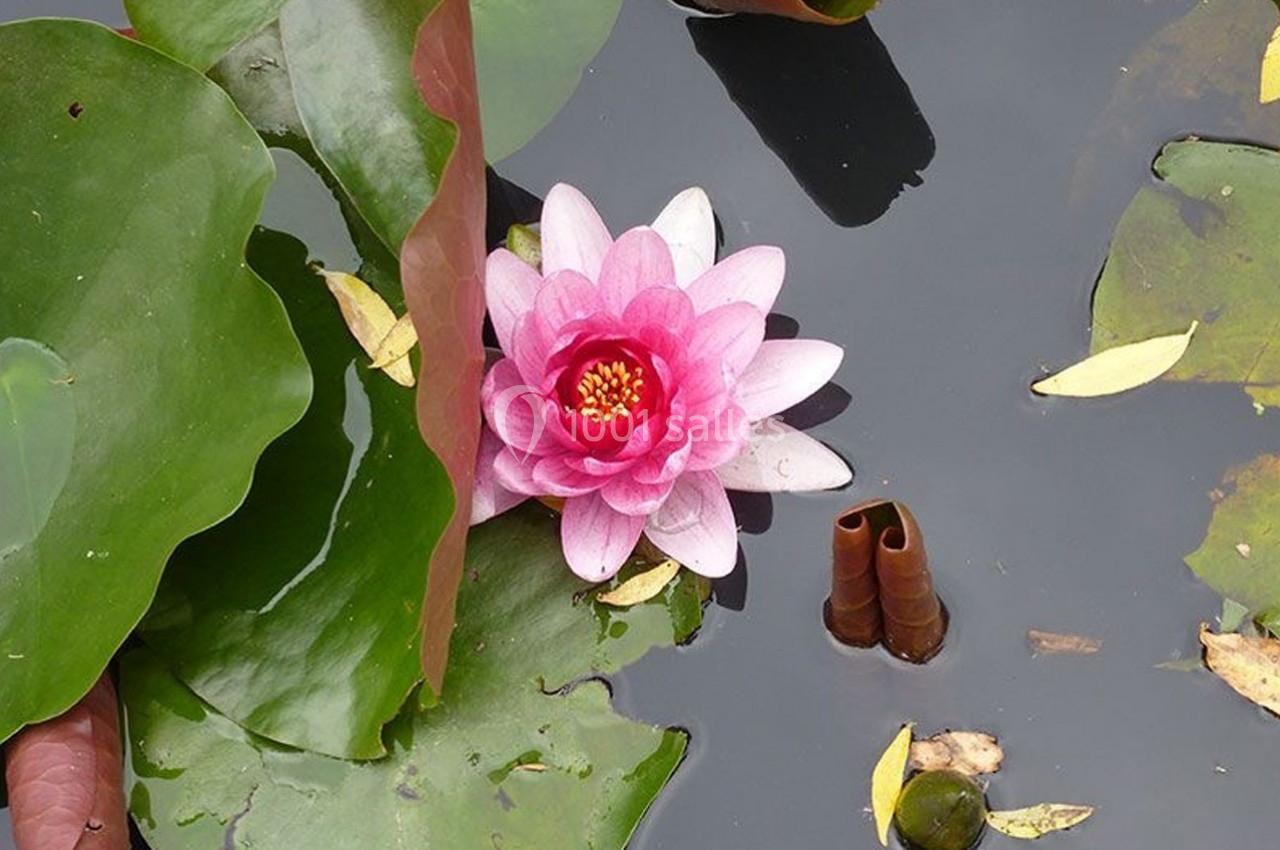 Location salle Nanterre (Hauts-de-Seine) - Le Pavillon des Berges #29