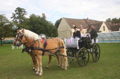 Aux Caprices De Barbey - photo 2