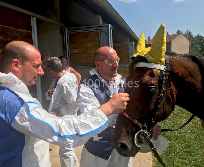 L'equi'forum - galerie - photo 13