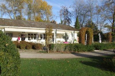 Étang calme reflétant des arbres et une pelouse verdoyante avec un bunker de golf en arrière-plan.