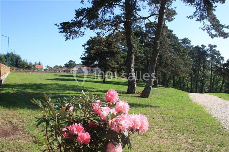 Arbustes fleuris au premier plan dans un parc verdoyant avec des arbres et un chemin de gravier sous un ciel dégagé.