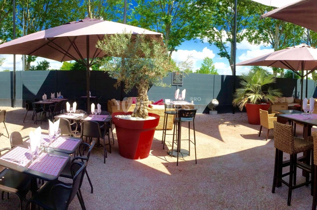 Terrasse extérieure avec tables dressées, parasols, plantes en pot et arbres en arrière-plan.